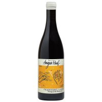 Image of Angus Paul Transient Lands Pinotage