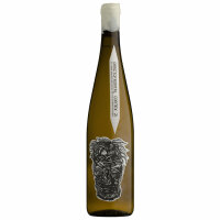 Image of Blank Bottle Orbitofrontal Cortex