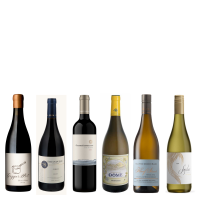 Image of Red & White Wine Case