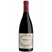 Image of DeMorgenzon Reserve Syrah