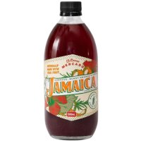 Image of El Burro Mercado Jamaica Cocktail Cordial