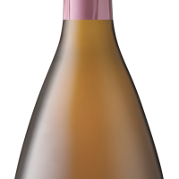 Image of Hidden Valley MCC Rose