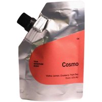 Image of Your Adventure Buddy Cosmo