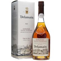 Image of Delamain Pale & Dry XO Grande Champagne Cognac