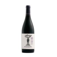 Image of Bartho Eksteen Tree of Knowledge Shiraz