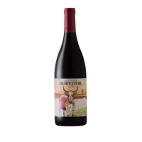 Image of Survivor Syrah