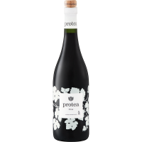 Image of Protea Shiraz