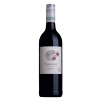Image of Jordan Chameleon Bordeaux Blend
