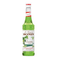 Image of Monin Concombre
