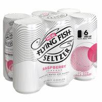Image of Flying Fish Seltzer Raspberry